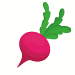 Radish