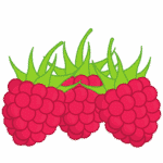 Raspberry
