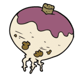 Swede/rutabaga (U.S.)