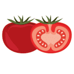 Tomato