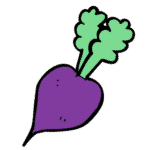 Turnip