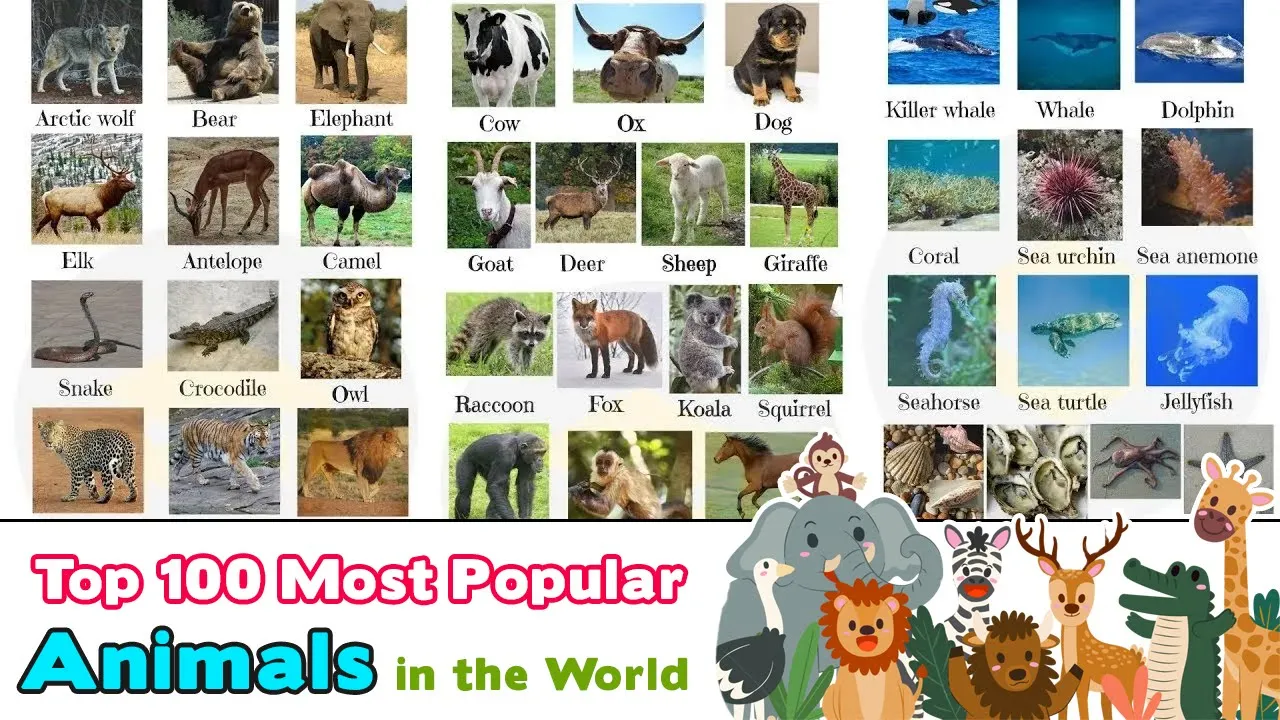 List of Animals